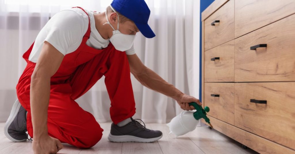 capa dedetizacao em Anápolis